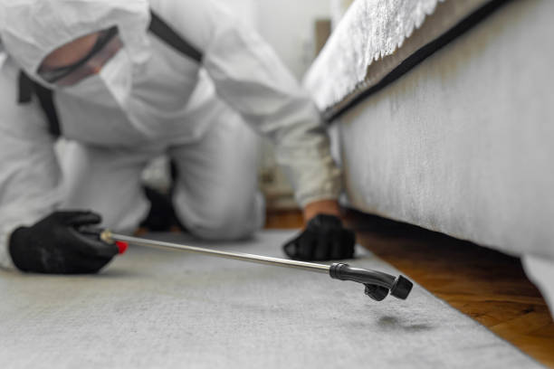 Professional Termite Control technician working in Dallas, OR