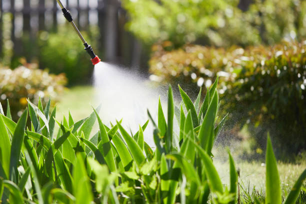 24/7 Emergency Termite Control experts in Dallas, OR