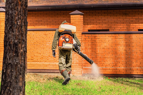 Trusted Cockroach Control service in Dallas, OR - Nex Pest Control